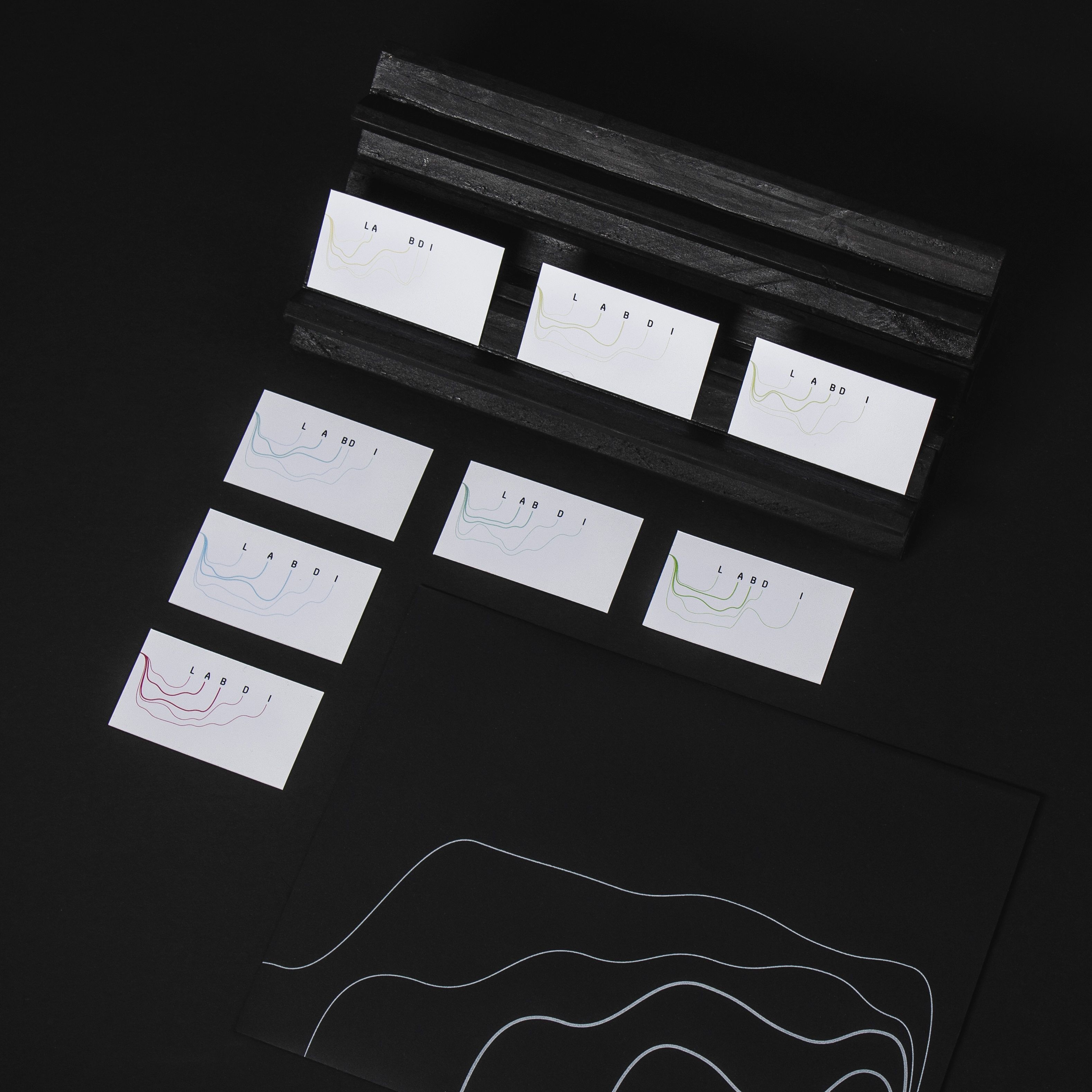 Cover image for LABDI